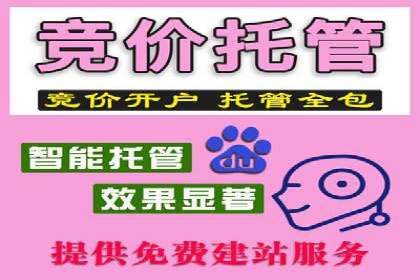 案例分享：竞价代运营助力企业降低成本